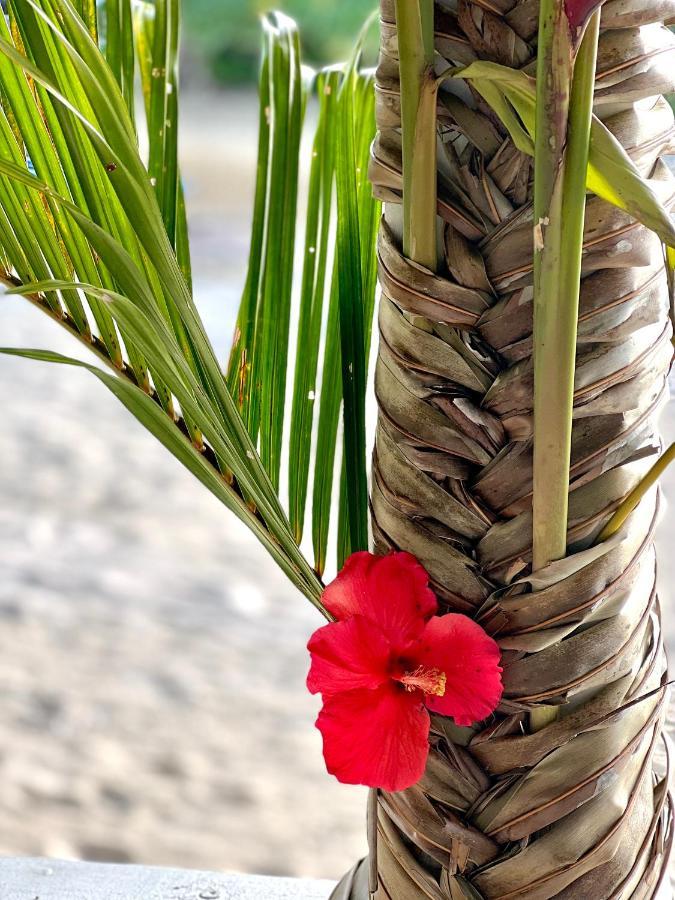 Coco Beach Resort Port Vila Eksteriør bilde